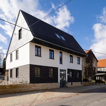 Neues Ferienhaus Gohrisch Kültér fotó