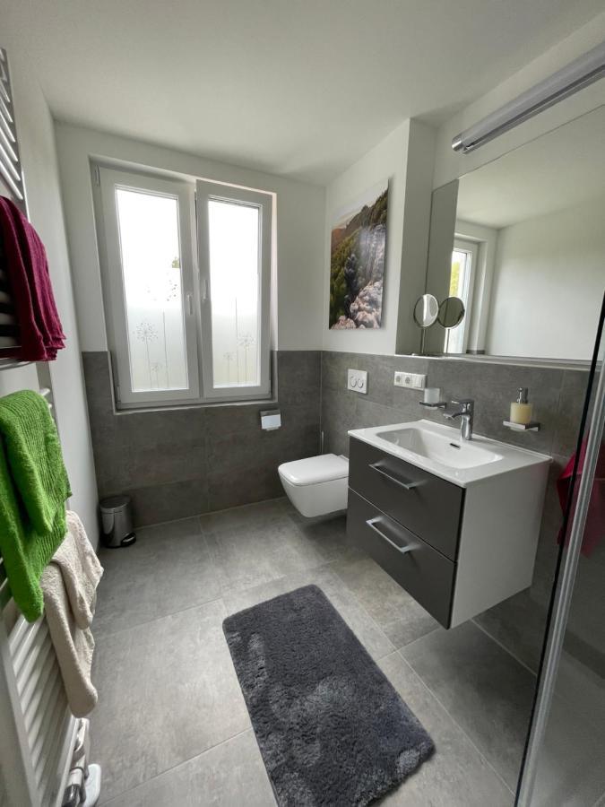 Neues Ferienhaus Gohrisch Kültér fotó