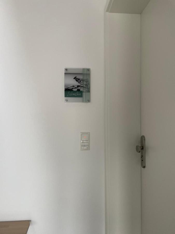 Neues Ferienhaus Gohrisch Kültér fotó