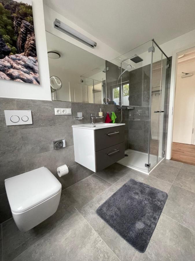 Neues Ferienhaus Gohrisch Kültér fotó