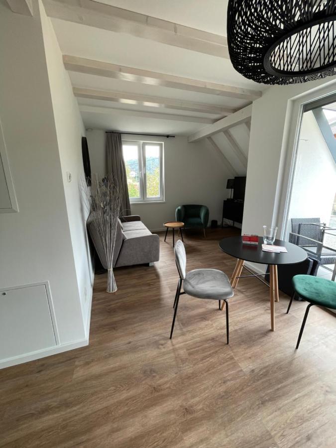 Neues Ferienhaus Gohrisch Kültér fotó